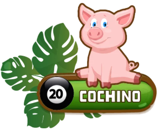 COCHINO