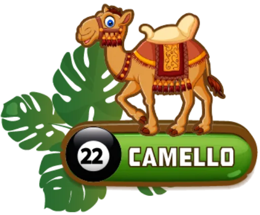 CAMELLO