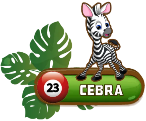 CEBRA
