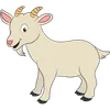 CHIVO