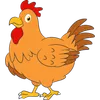 GALLINA