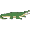 CAIMÁN