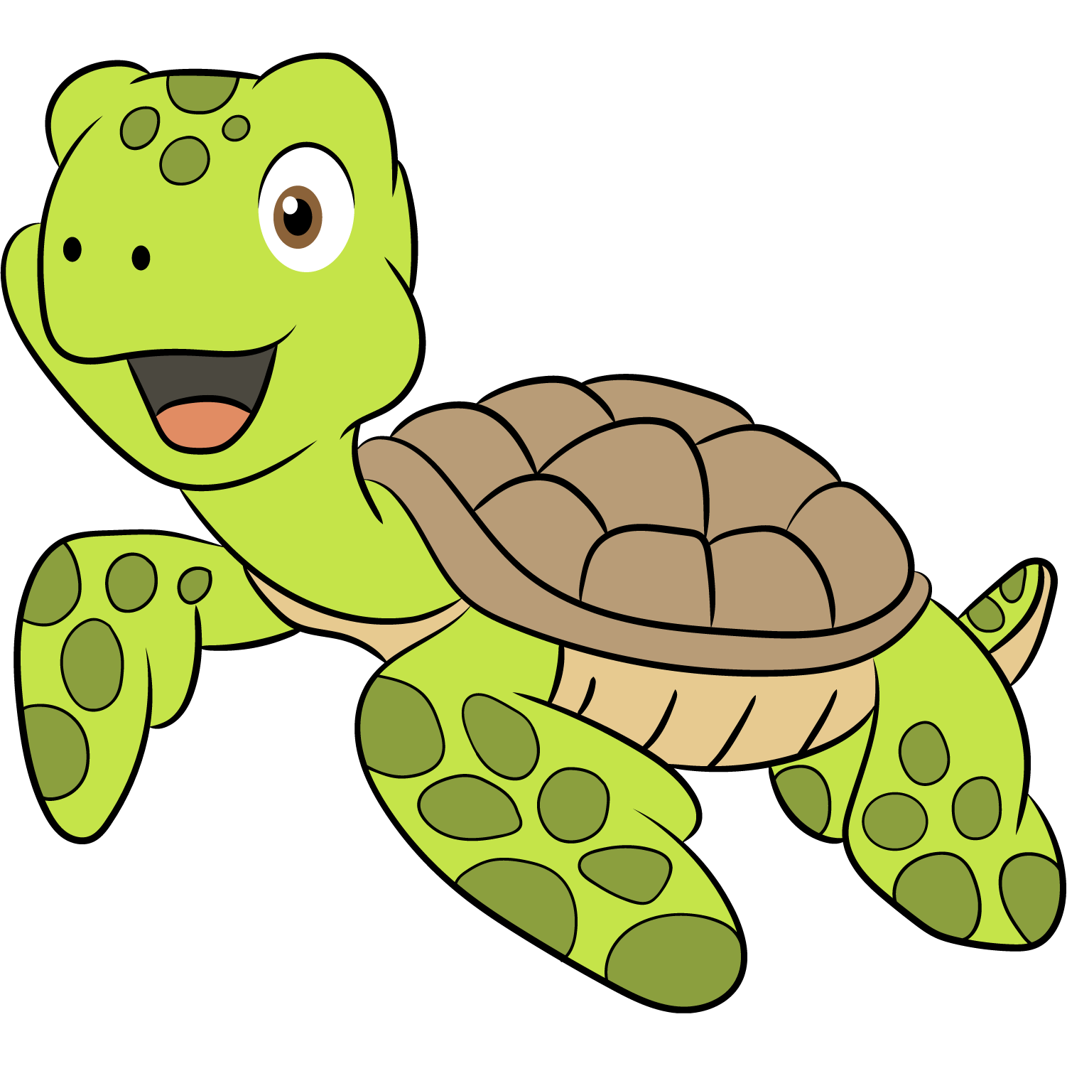 TORTUGA