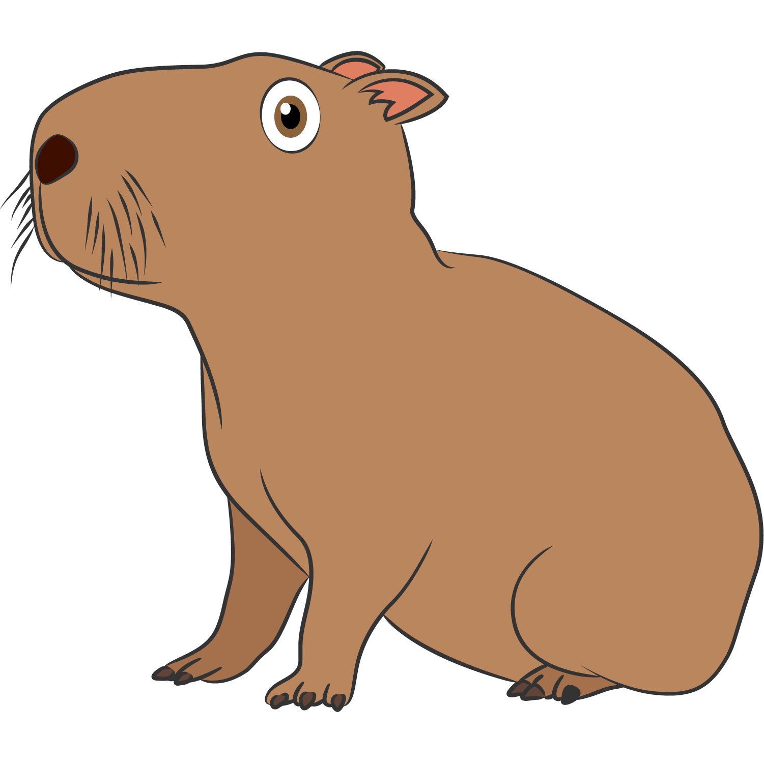 CHIGUIRE