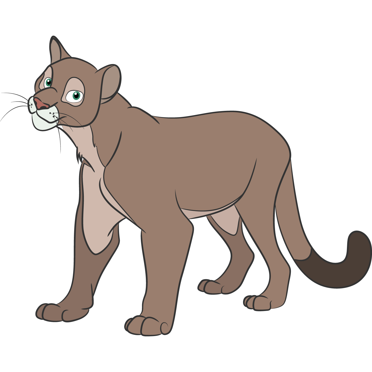 PUMA