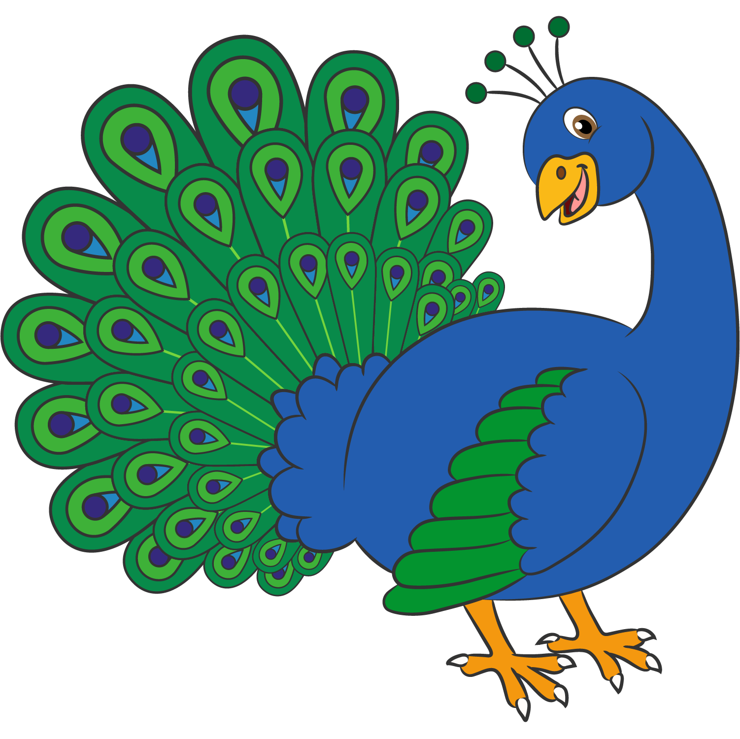 PAVO REAL