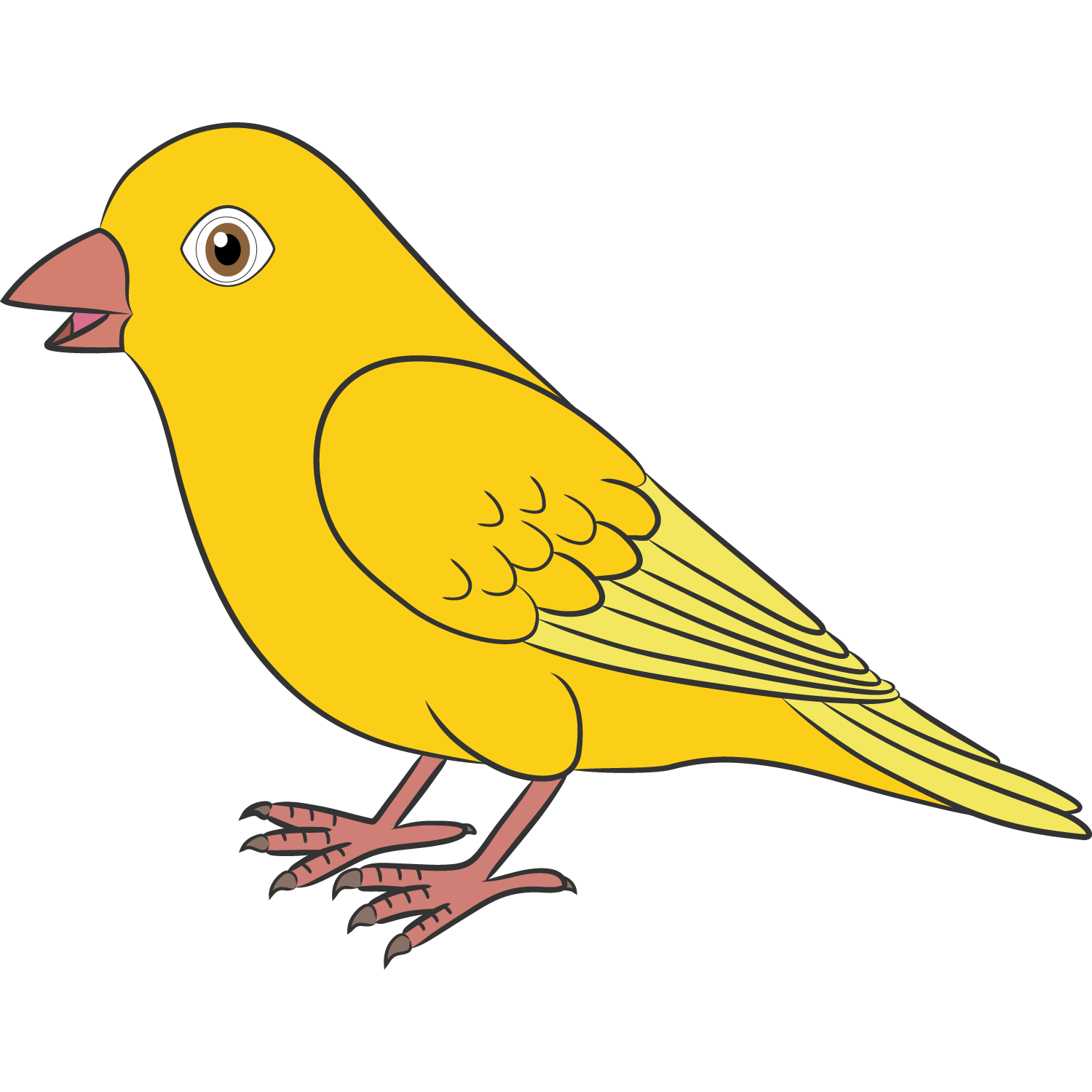 CANARIO