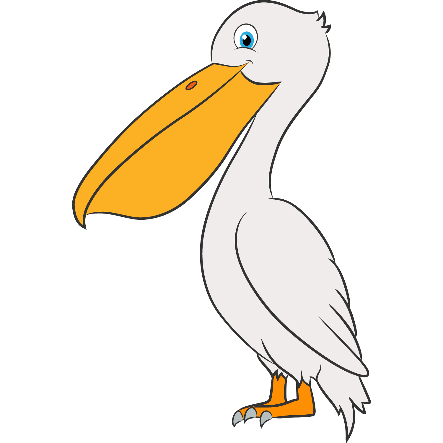 PELICANO
