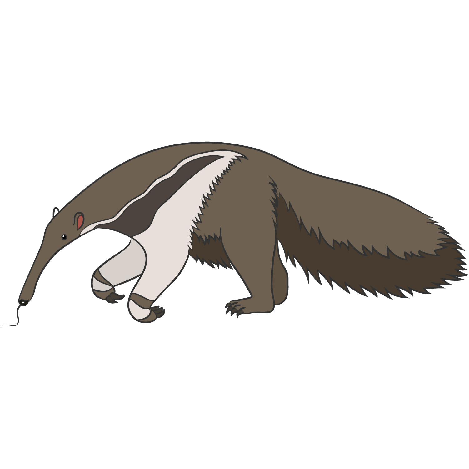 OSO HORMIGUERO