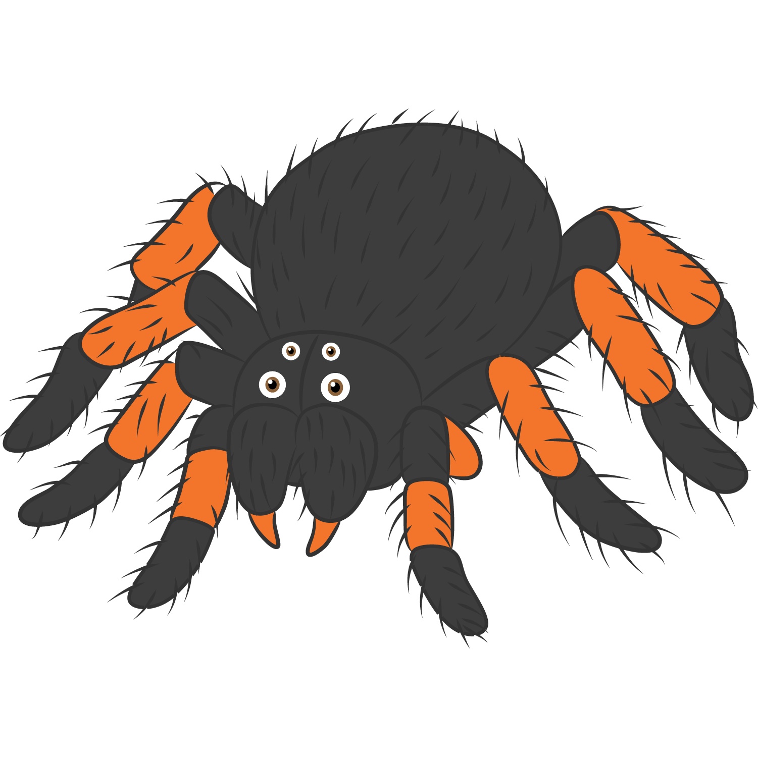 ARAÑA