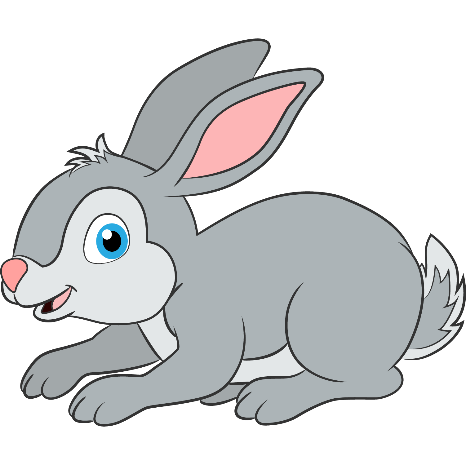 CONEJO
