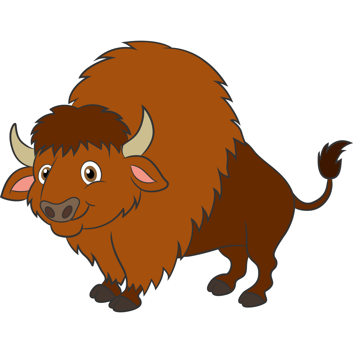 BISONTE