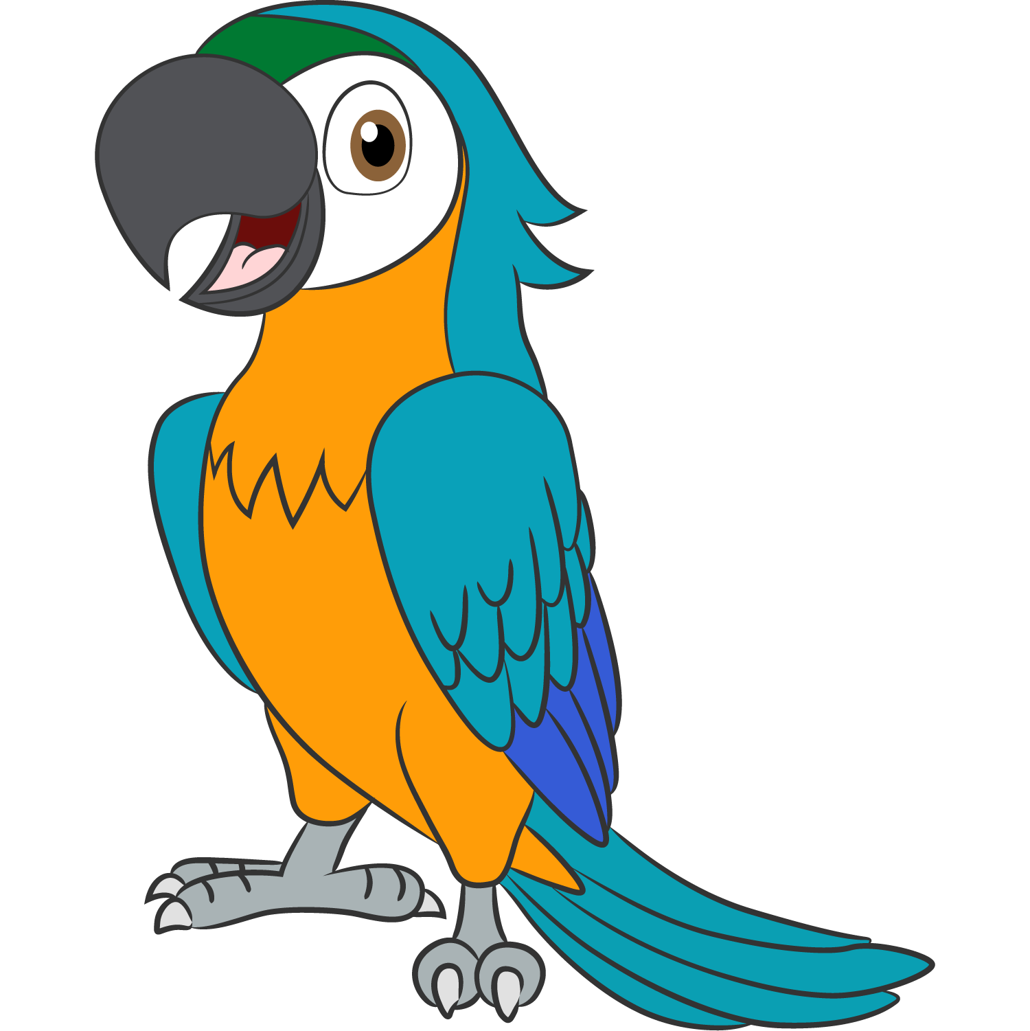 GUACAMAYA