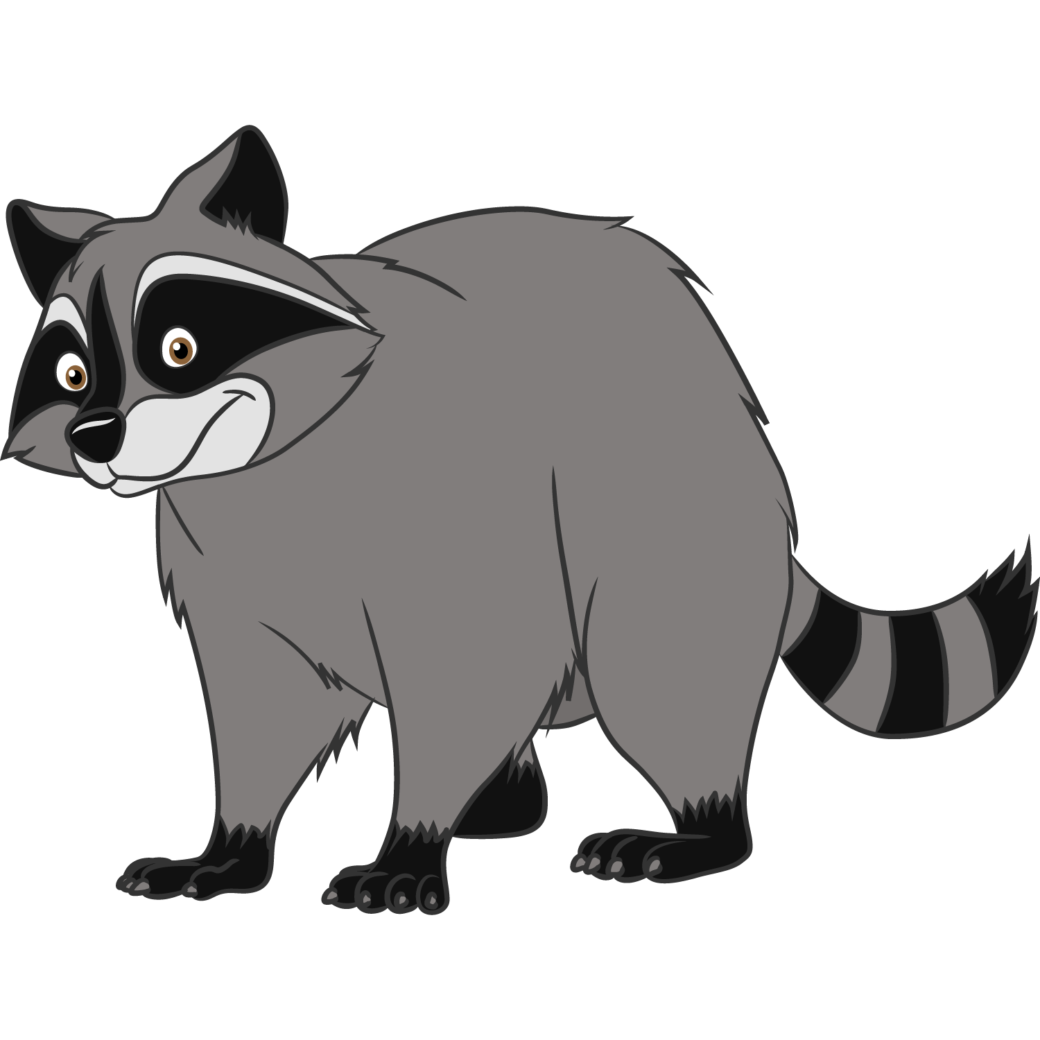 MAPACHE