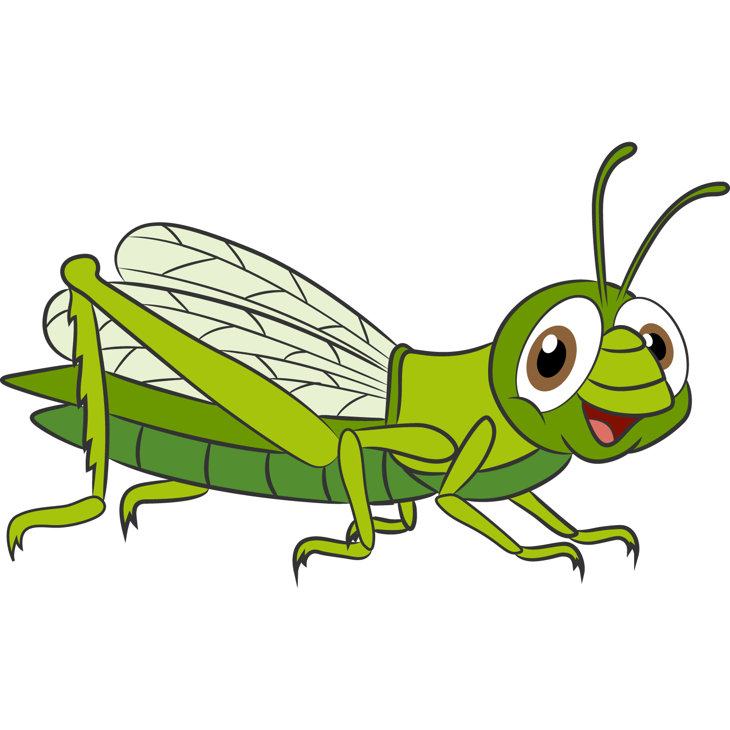 SALTAMONTE