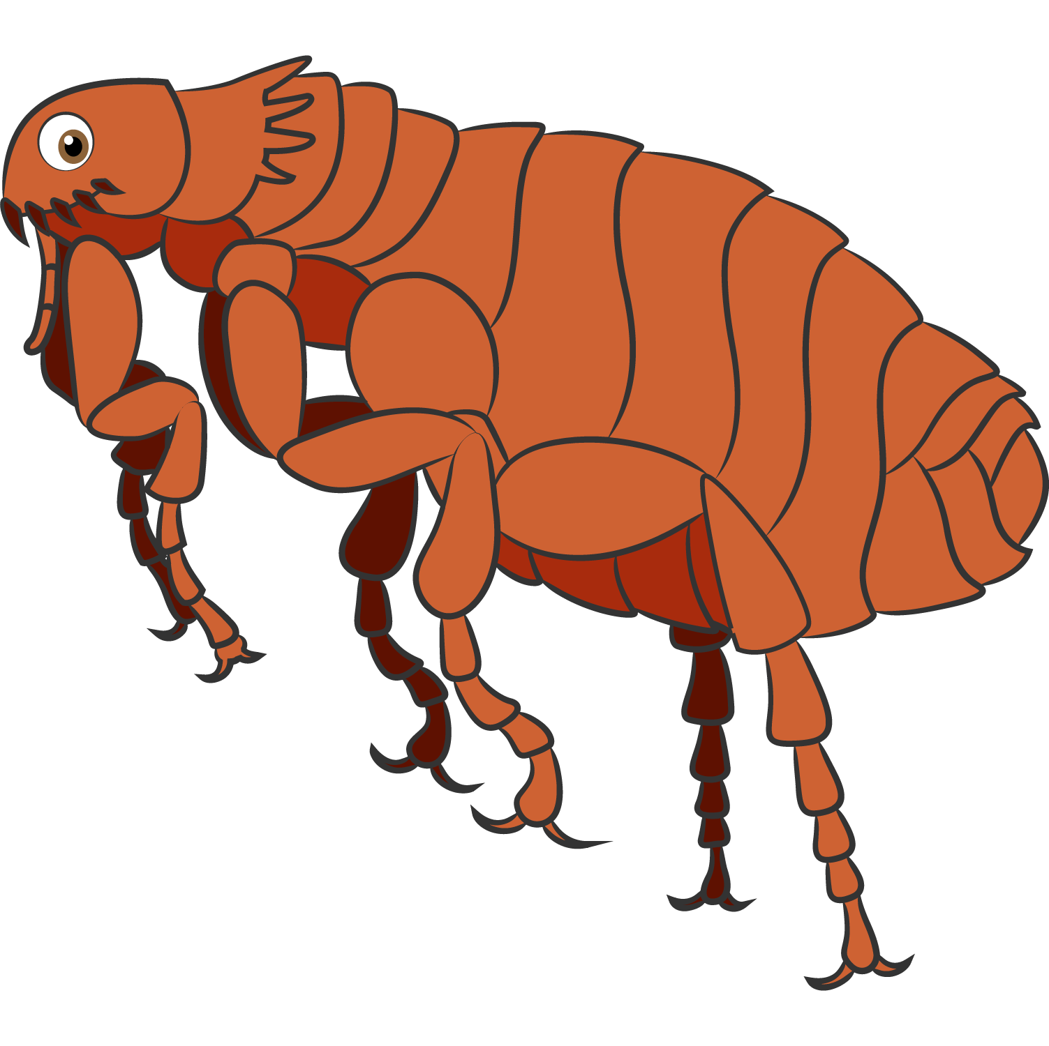 PULGA