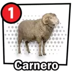 CARNERO
