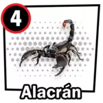 ALACRÁN