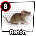 RATÓN