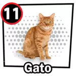 GATO