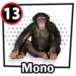 13