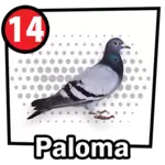 14