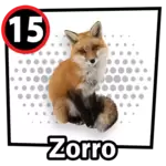 ZORRO