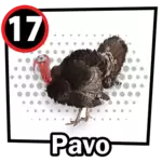 17