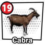 CHIVO