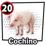 COCHINO