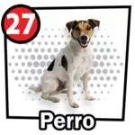 PERRO