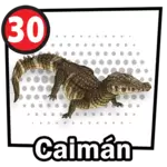 30