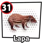LAPA