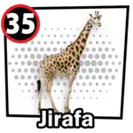 JIRAFA