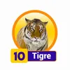 TIGRE
