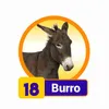 BURRO
