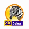CEBRA
