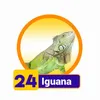IGUANA
