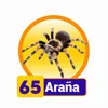 ARAÑA