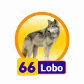 66