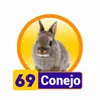 CONEJO