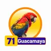 GUACAMAYA
