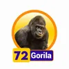 GORILA