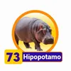 HIPOPOTAMO