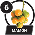 MAMON