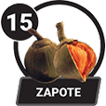 ZAPOTE