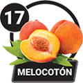 MELOCOTON