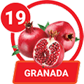 GRANADA