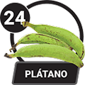PLATANO
