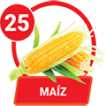 MAIZ